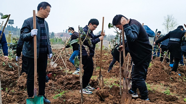 濟(jì)南市八一立交橋工程